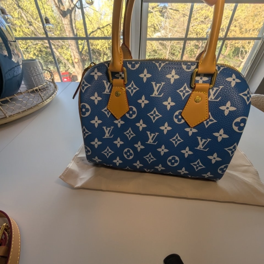 Inspired "Speedy" Blue Monogram Crossbody - Picture 4 of 11